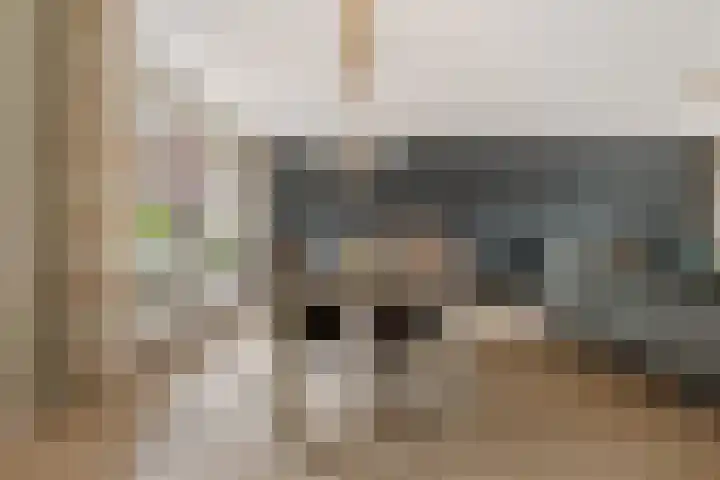 Spinstraat 1 Stramproy thumbnail 7
