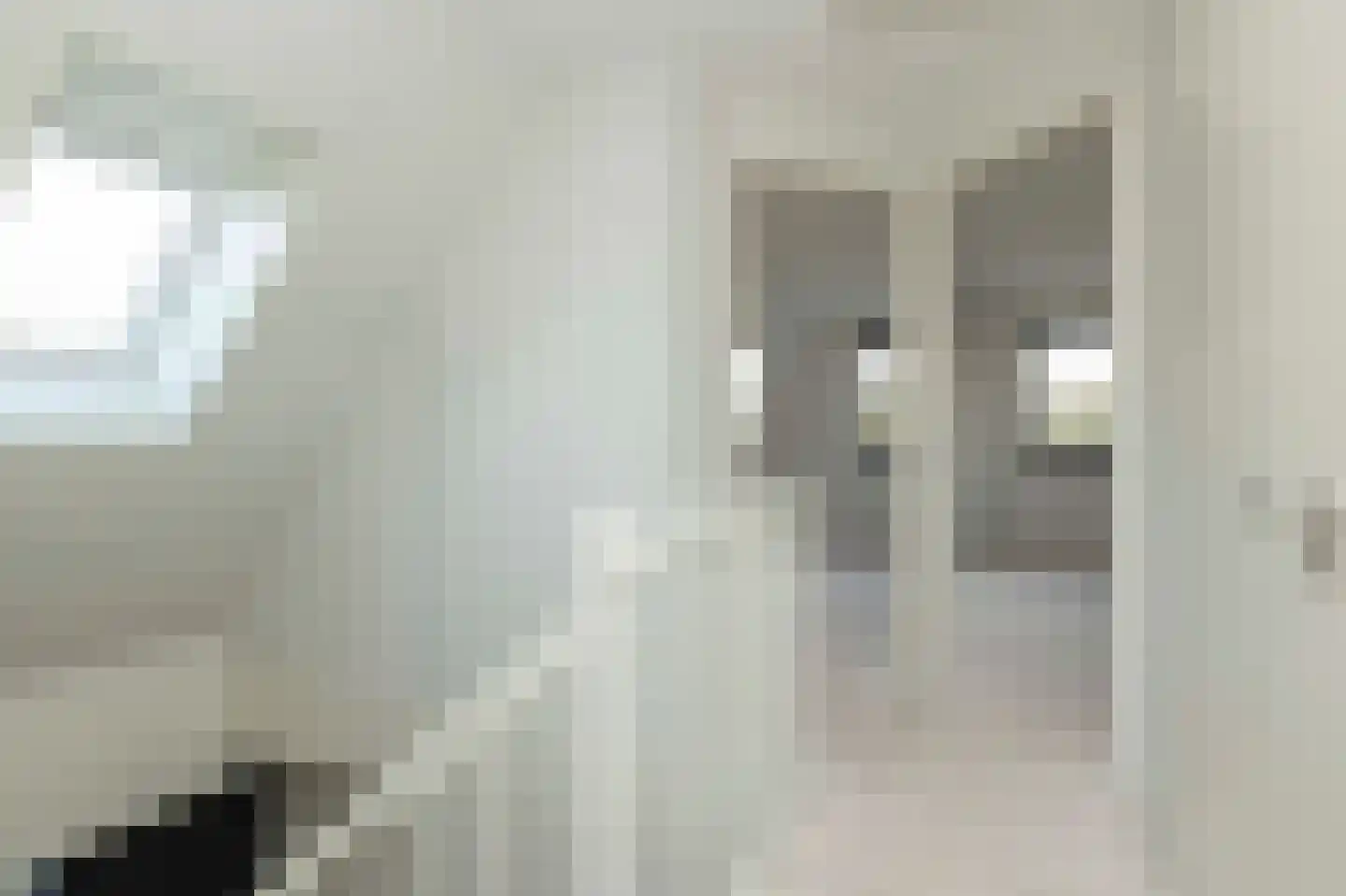 Spinwiefien 13 a Zuidwolde thumbnail 13