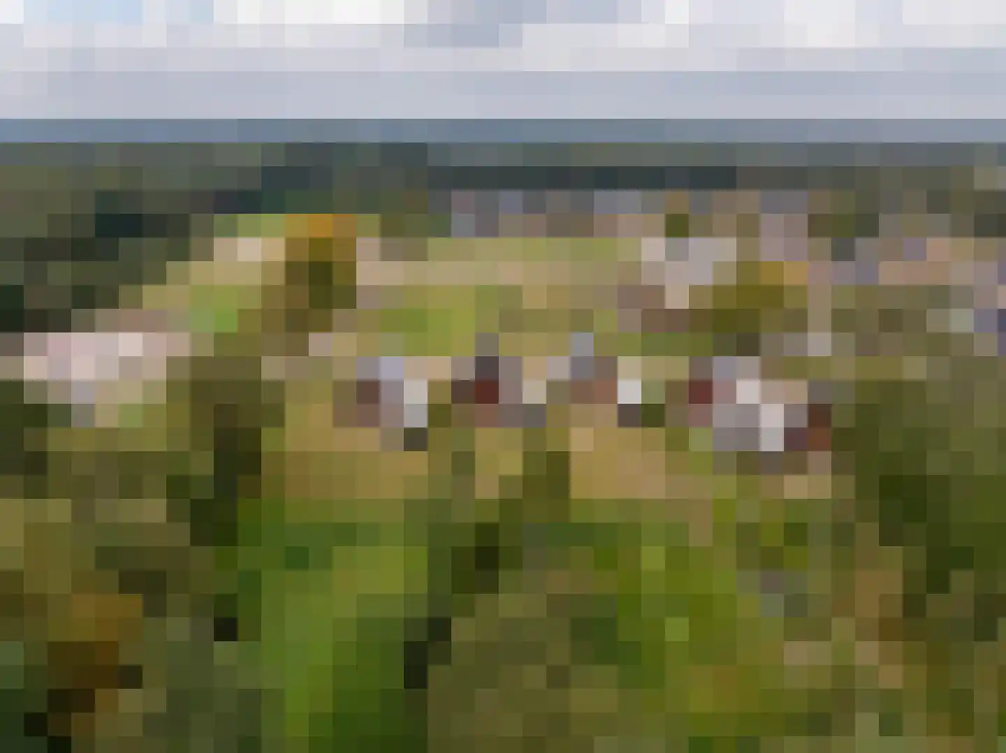 Spinwiefien 13 a Zuidwolde thumbnail 21