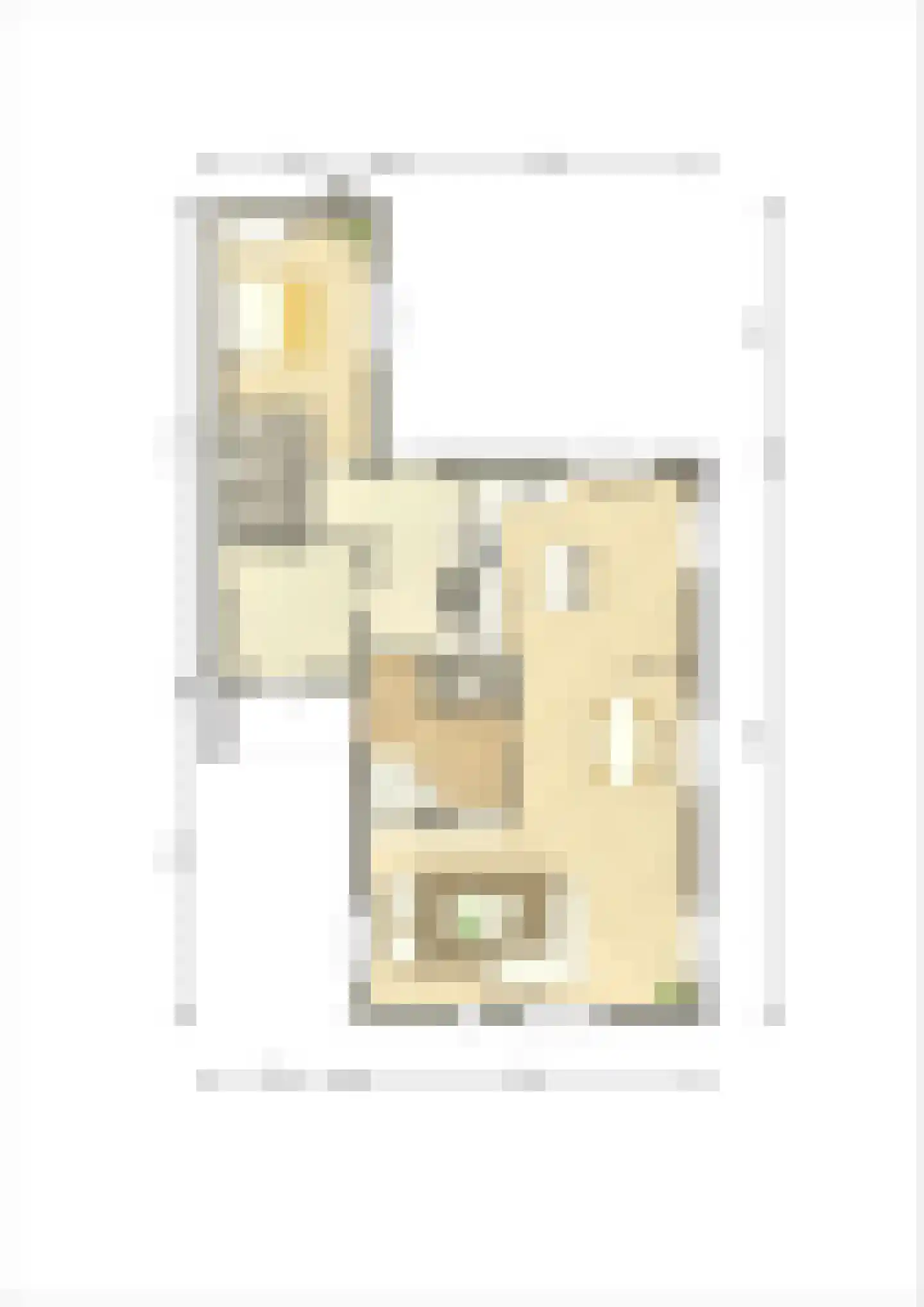 Spinwiefien 13 a Zuidwolde thumbnail 22