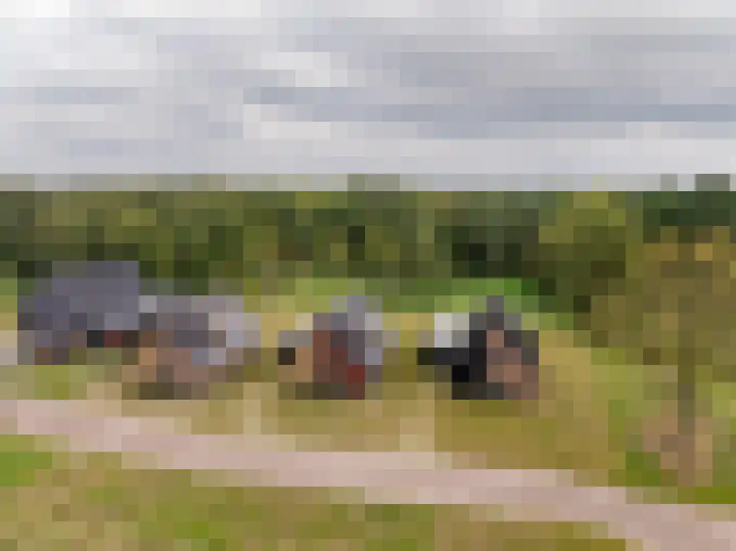 Spinwiefien 13 a Zuidwolde thumbnail 4