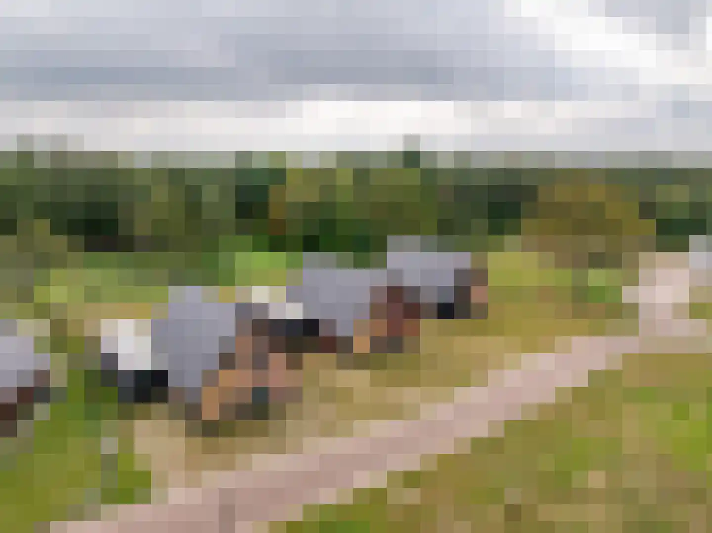 Spinwiefien 13 a Zuidwolde thumbnail 5