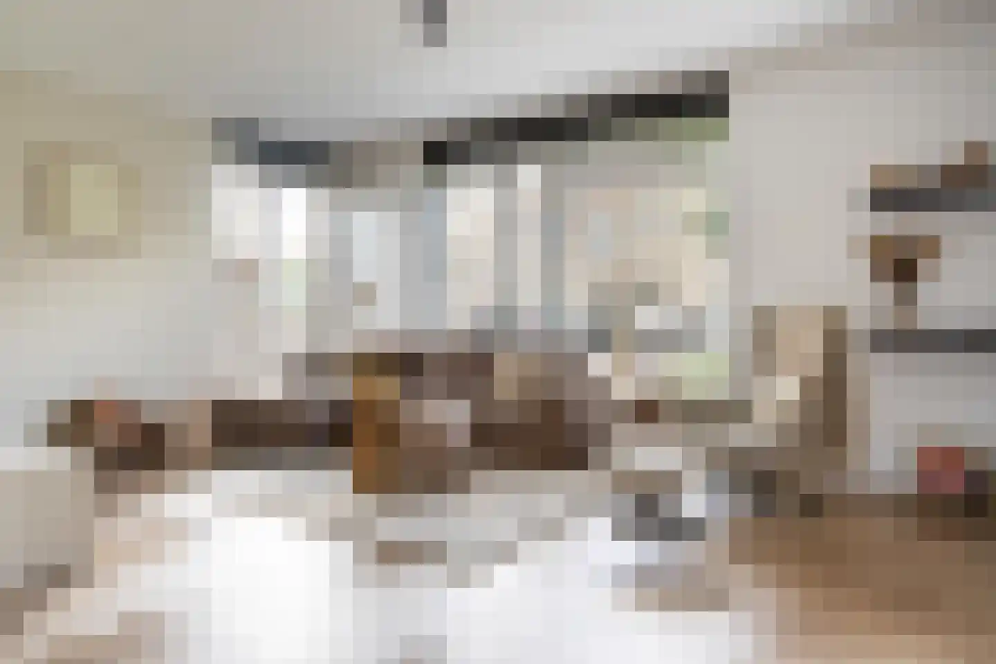 Spinwiefien 24 Zuidwolde thumbnail 10