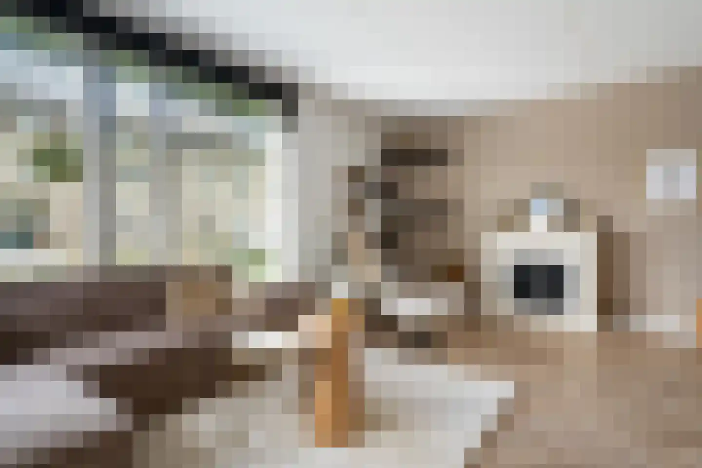 Spinwiefien 24 Zuidwolde thumbnail 12