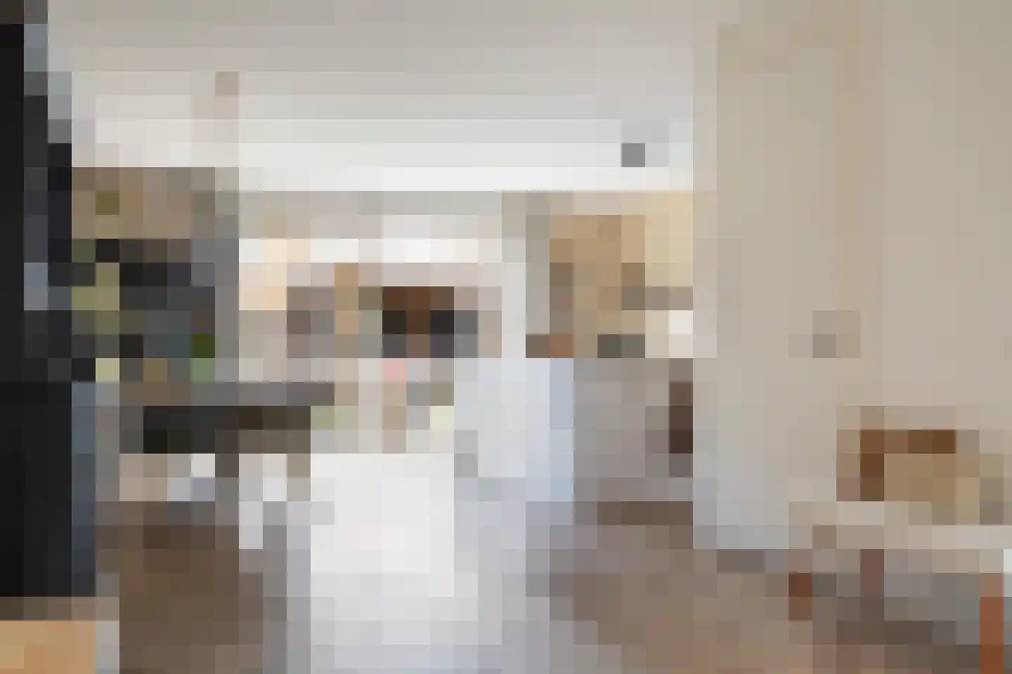 Spinwiefien 24 Zuidwolde thumbnail 15