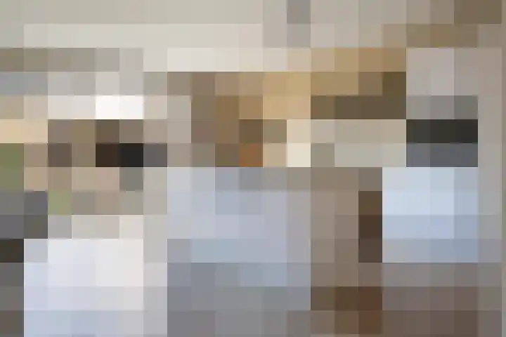Spinwiefien 24 Zuidwolde thumbnail 17
