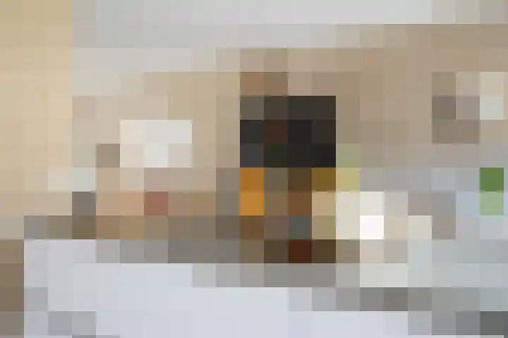 Spinwiefien 24 Zuidwolde thumbnail 20