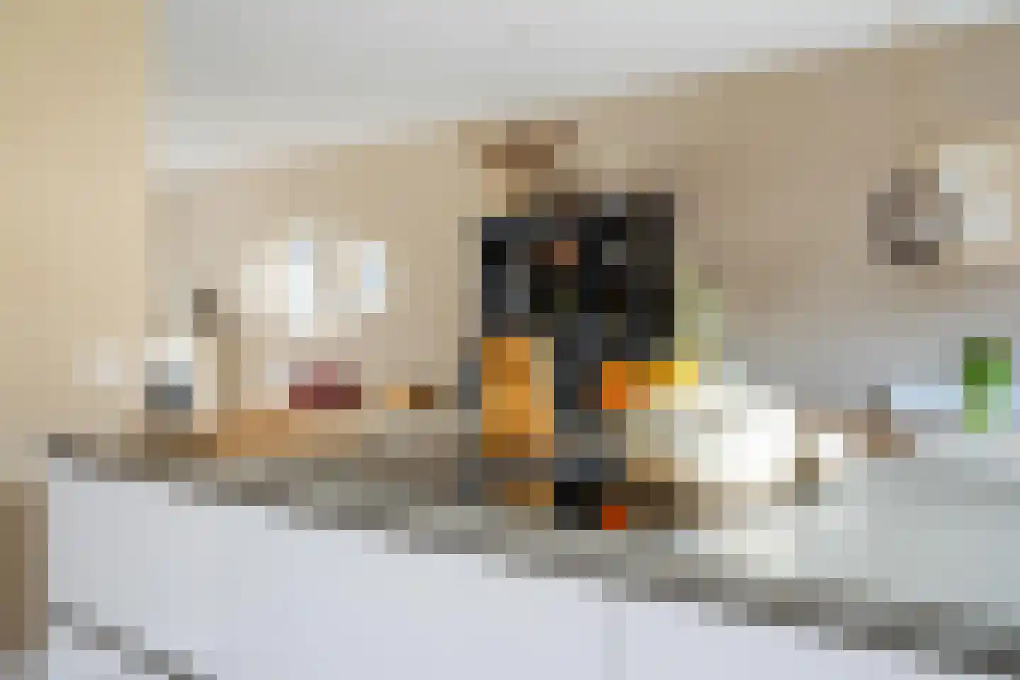 Spinwiefien 24 Zuidwolde thumbnail 20