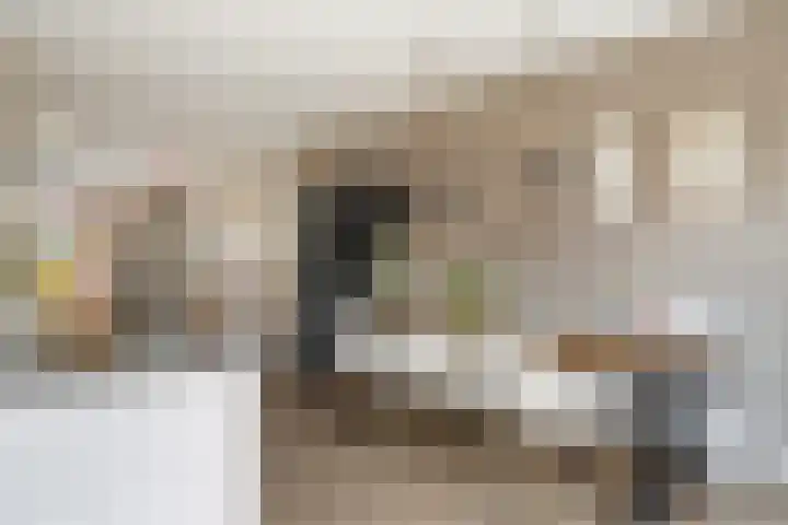 Spinwiefien 24 Zuidwolde thumbnail 21