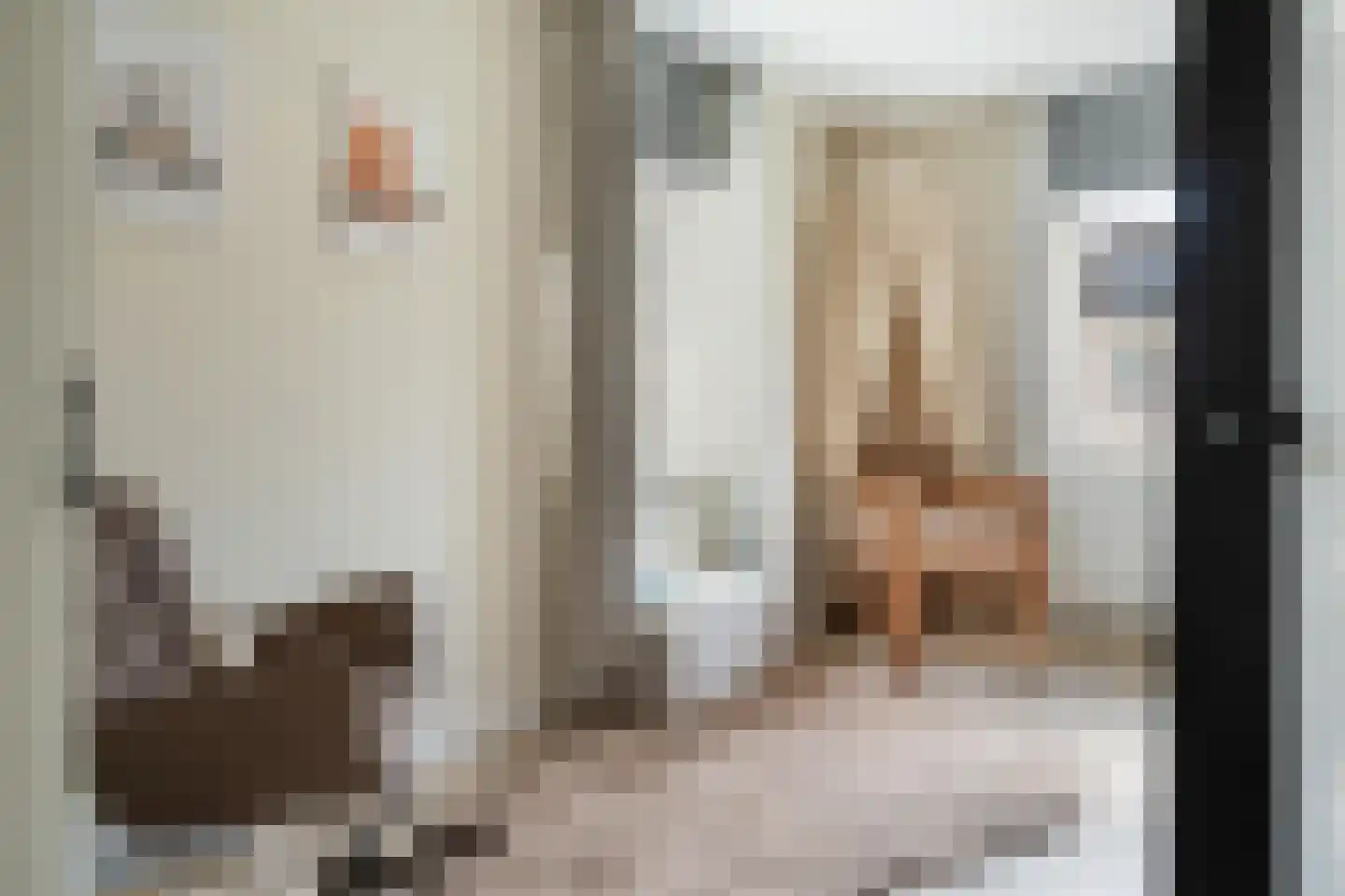 Spinwiefien 24 Zuidwolde thumbnail 23