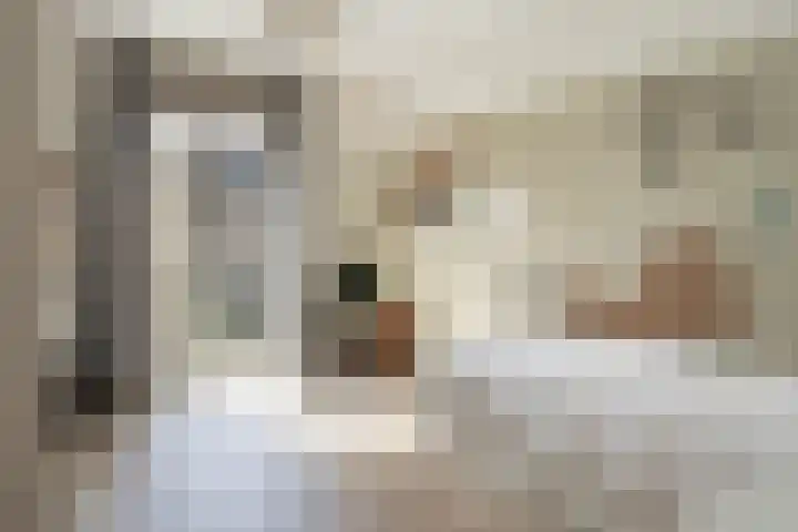Spinwiefien 24 Zuidwolde thumbnail 25