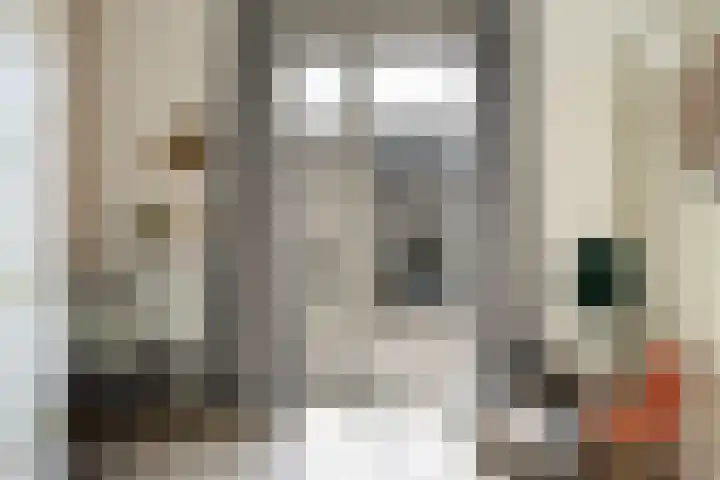 Spinwiefien 24 Zuidwolde thumbnail 26