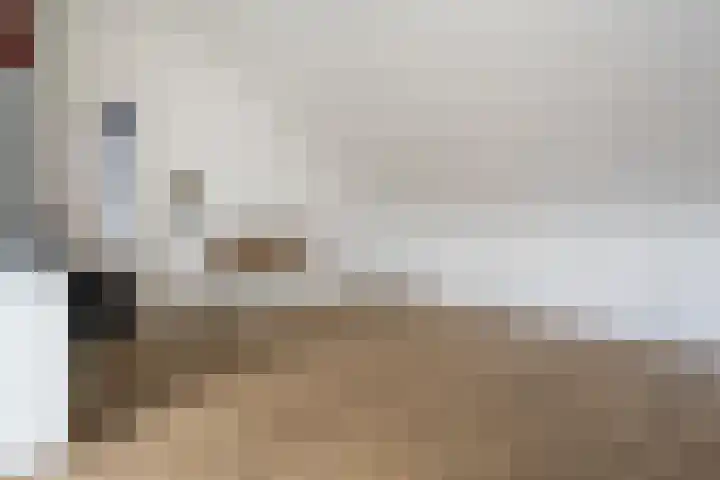 Spinwiefien 24 Zuidwolde thumbnail 33