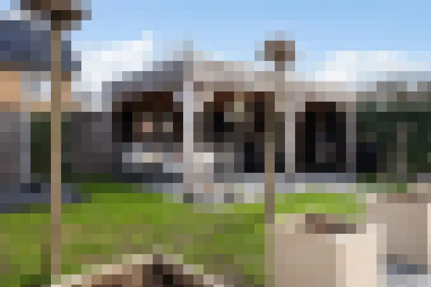 Spinwiefien 24 Zuidwolde thumbnail 35