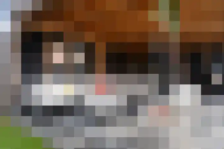 Spinwiefien 24 Zuidwolde thumbnail 37