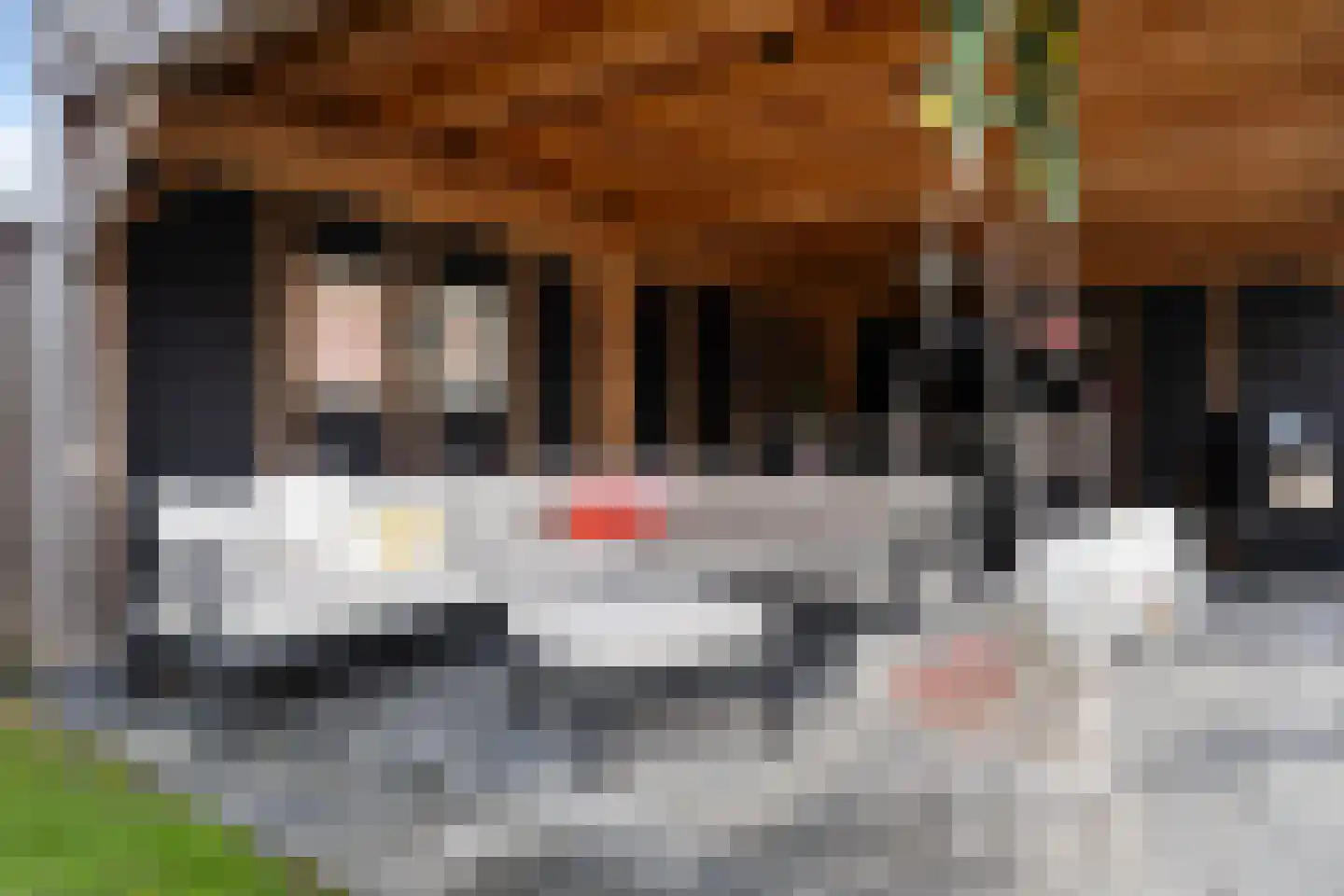 Spinwiefien 24 Zuidwolde thumbnail 37