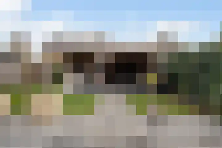 Spinwiefien 24 Zuidwolde thumbnail 4