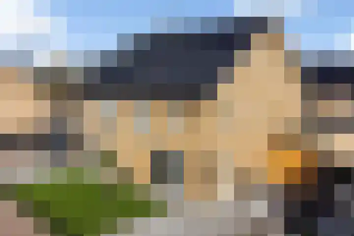 Spinwiefien 24 Zuidwolde thumbnail 40