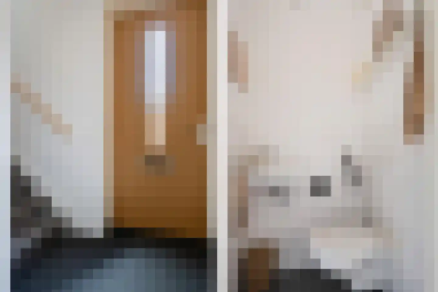 Spinwiefien 24 Zuidwolde thumbnail 8