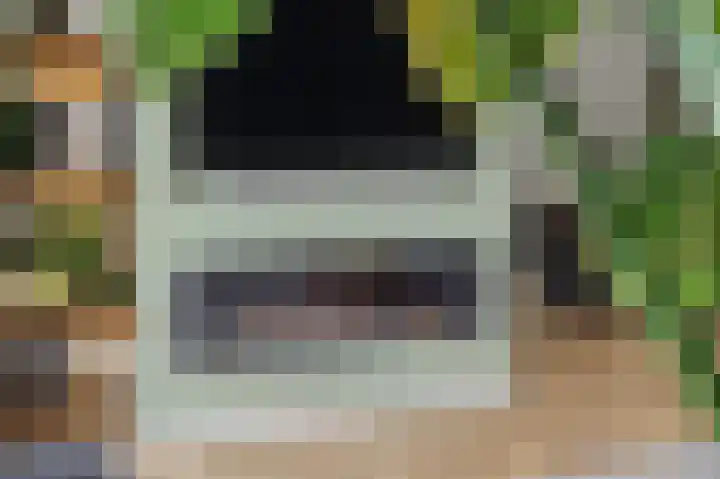 Spion 2 Gorinchem thumbnail 13