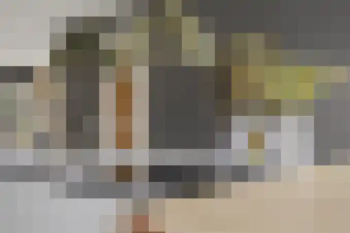 Spion 2 Gorinchem thumbnail 24