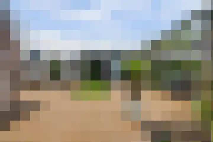 Spion 2 Gorinchem thumbnail 44