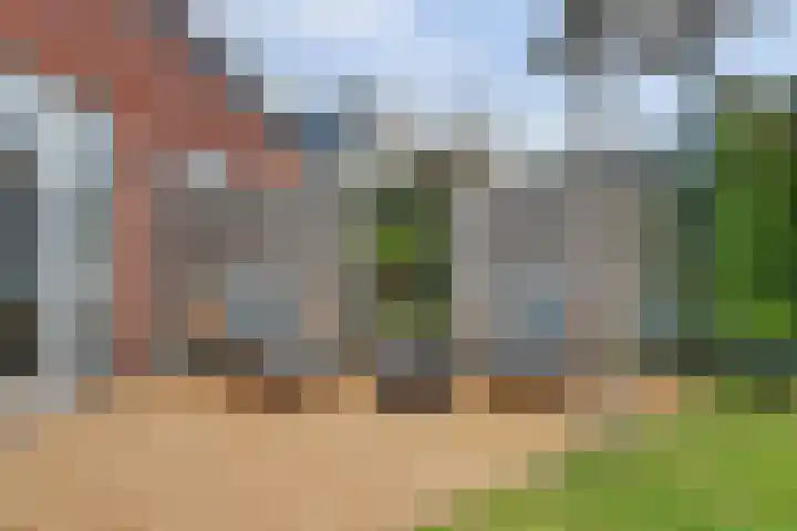 Spion 2 Gorinchem thumbnail 45