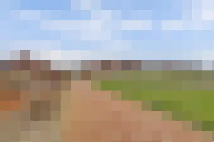 Spion 2 Gorinchem thumbnail 50
