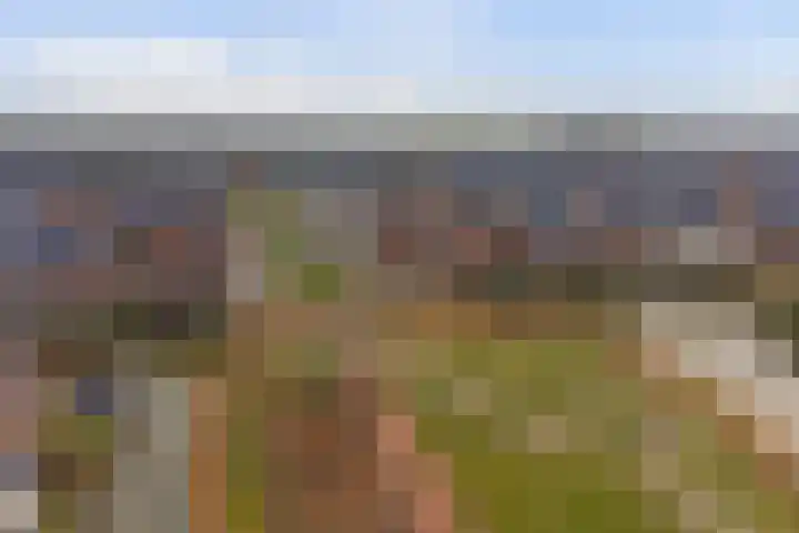 Spion 2 Gorinchem thumbnail 53