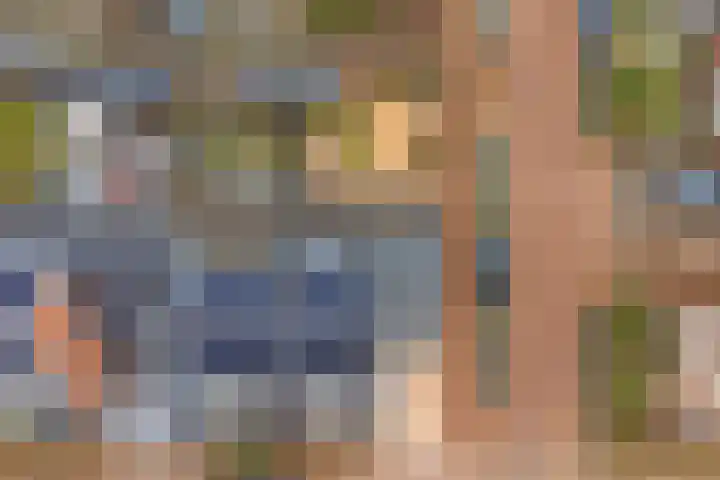 Spion 2 Gorinchem thumbnail 54