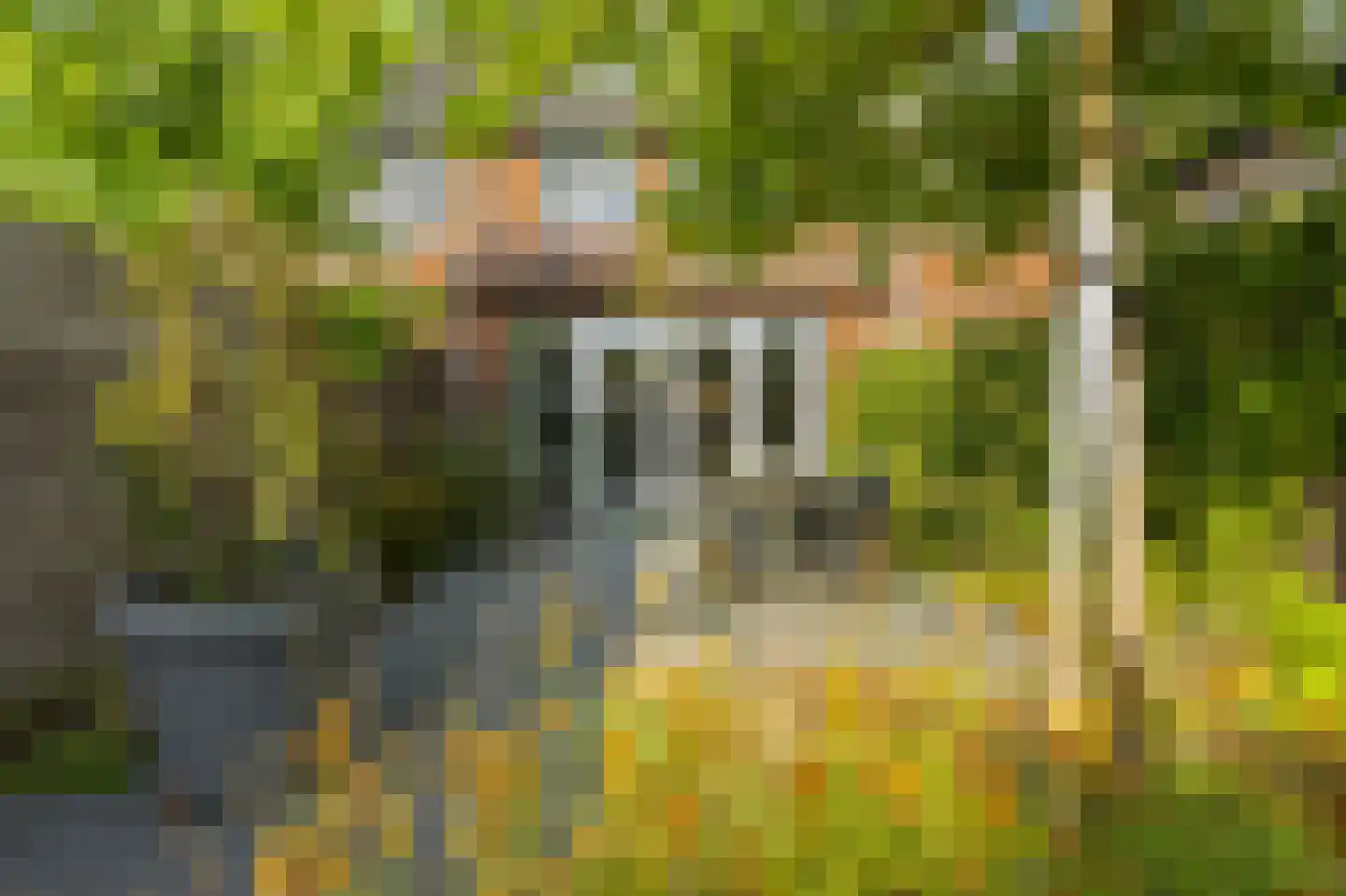 Spion 24 Gorinchem
