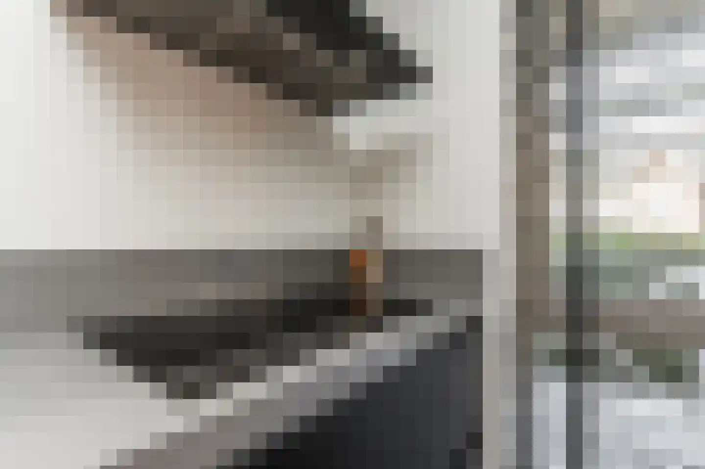 Spion 24 Gorinchem thumbnail 12
