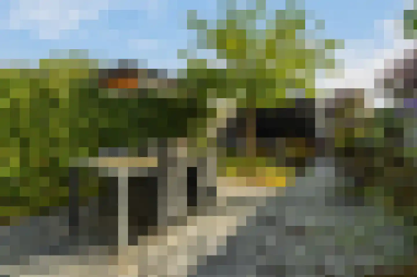 Spion 24 Gorinchem thumbnail 14