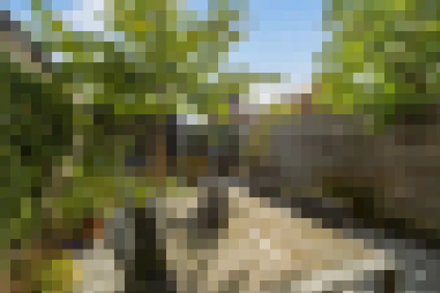Spion 24 Gorinchem thumbnail 15