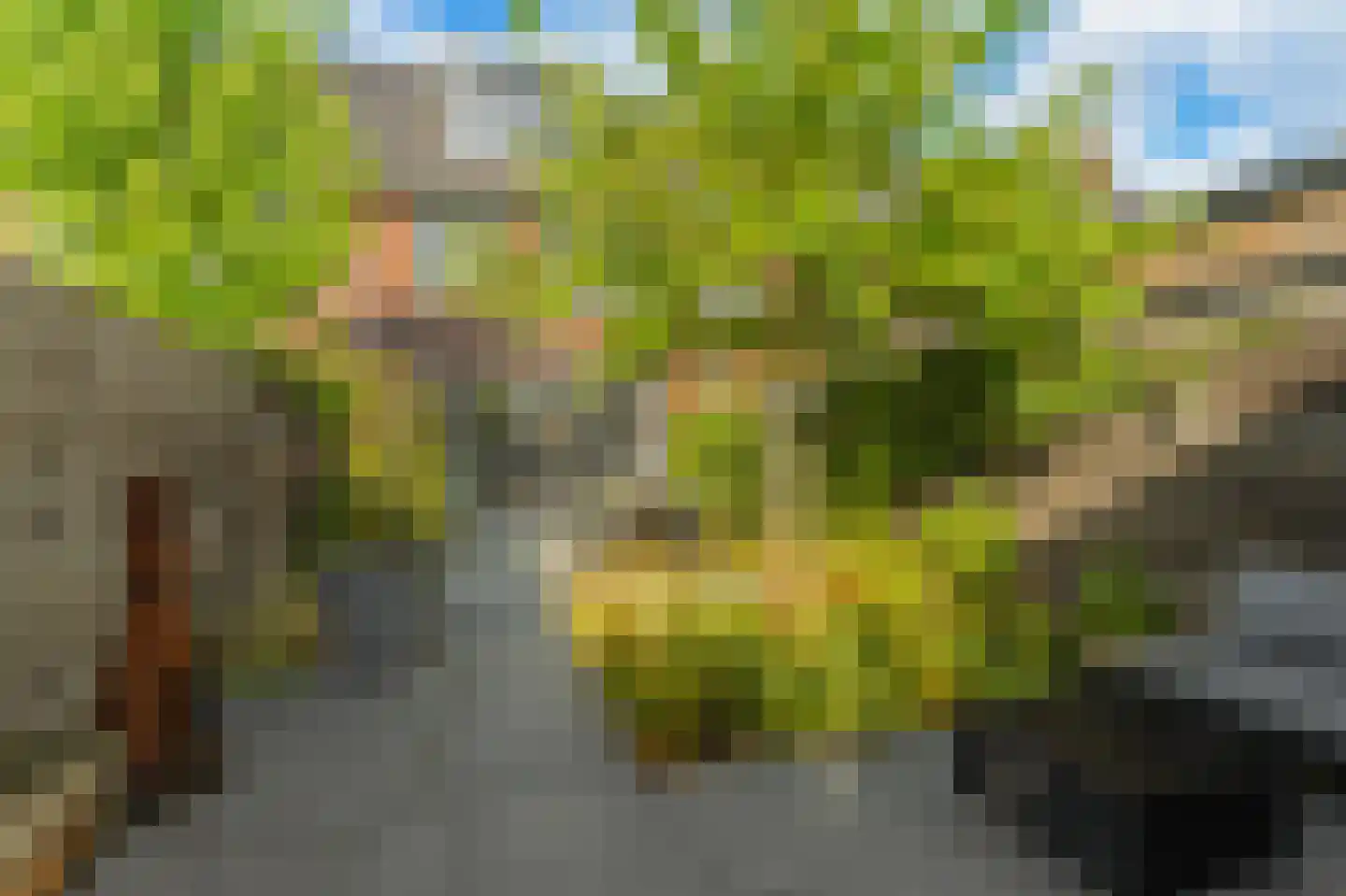 Spion 24 Gorinchem thumbnail 16