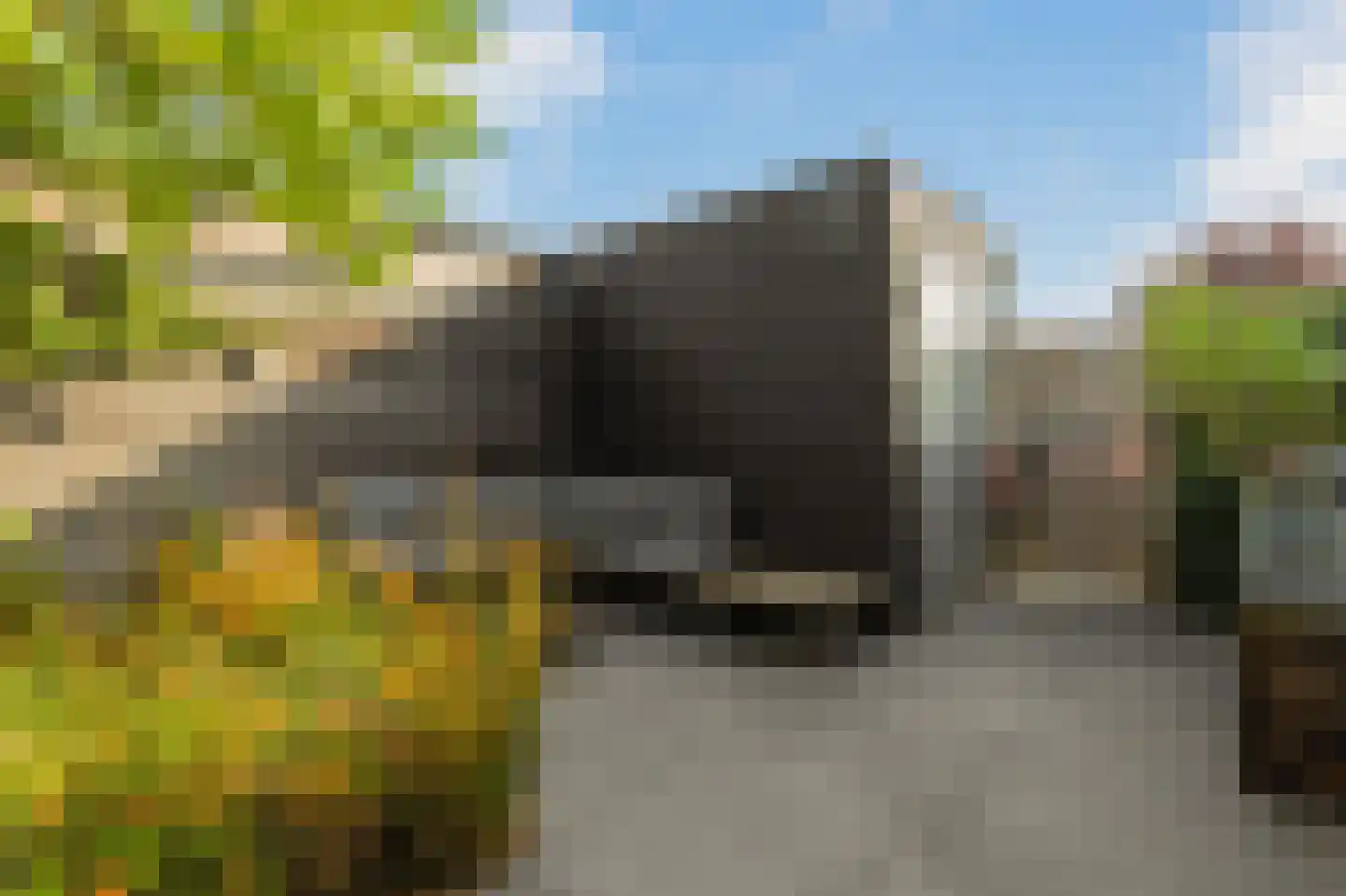 Spion 24 Gorinchem thumbnail 17
