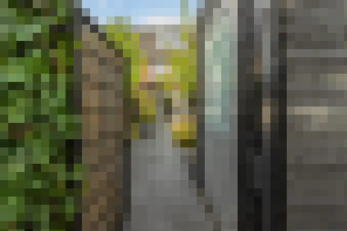 Spion 24 Gorinchem thumbnail 18
