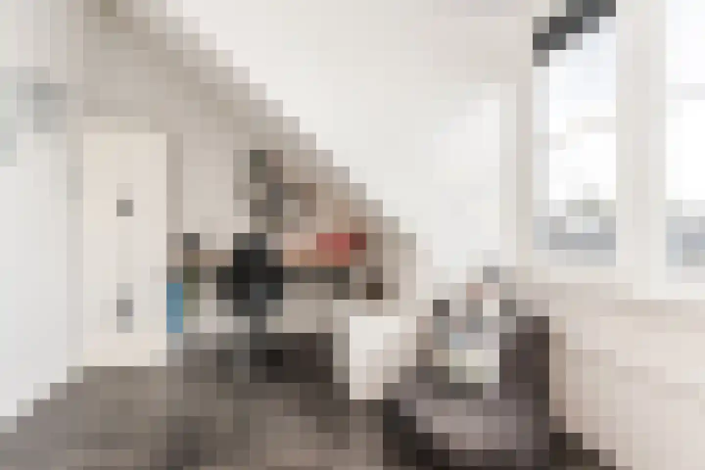 Spion 24 Gorinchem thumbnail 31