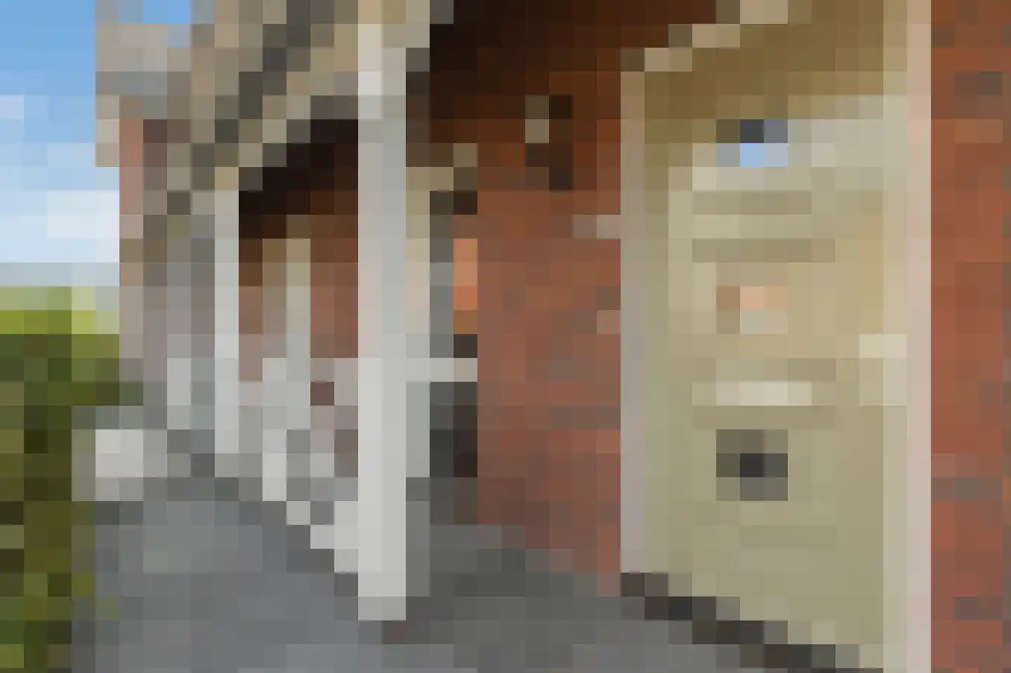 Spion 24 Gorinchem thumbnail 34