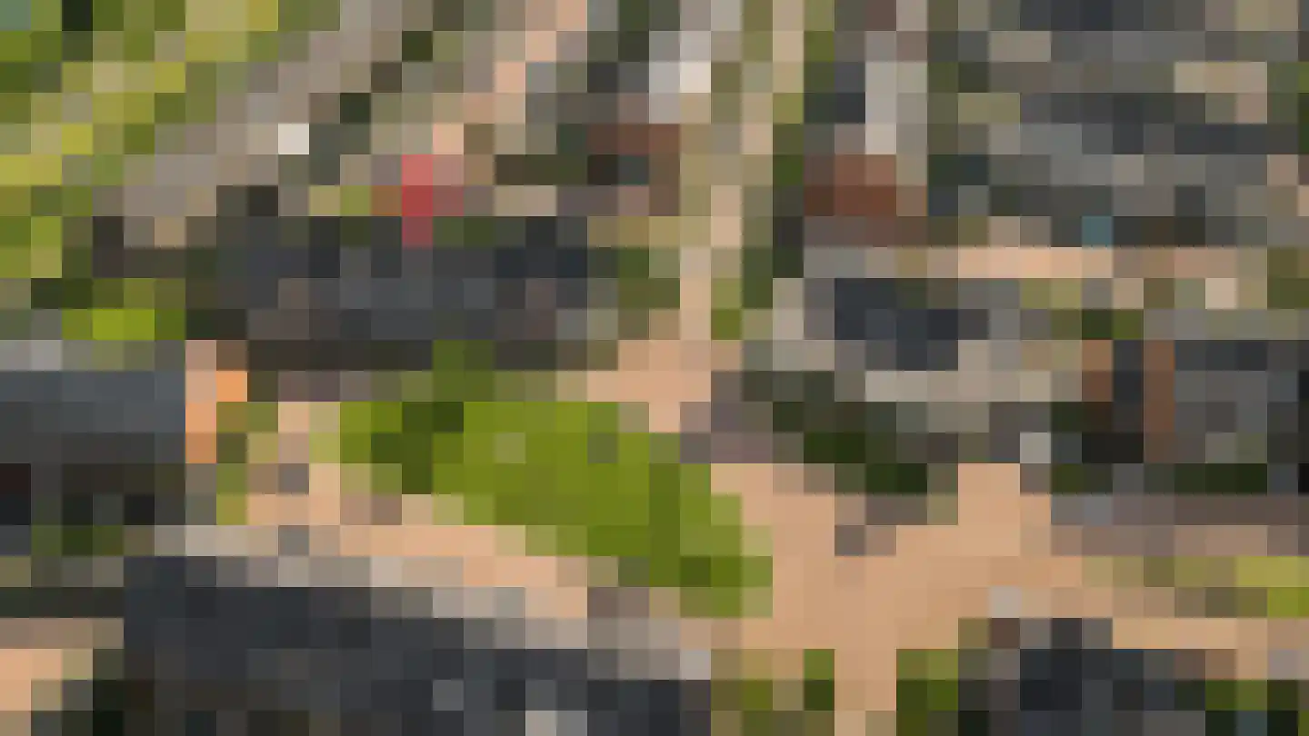 Spion 24 Gorinchem thumbnail 38