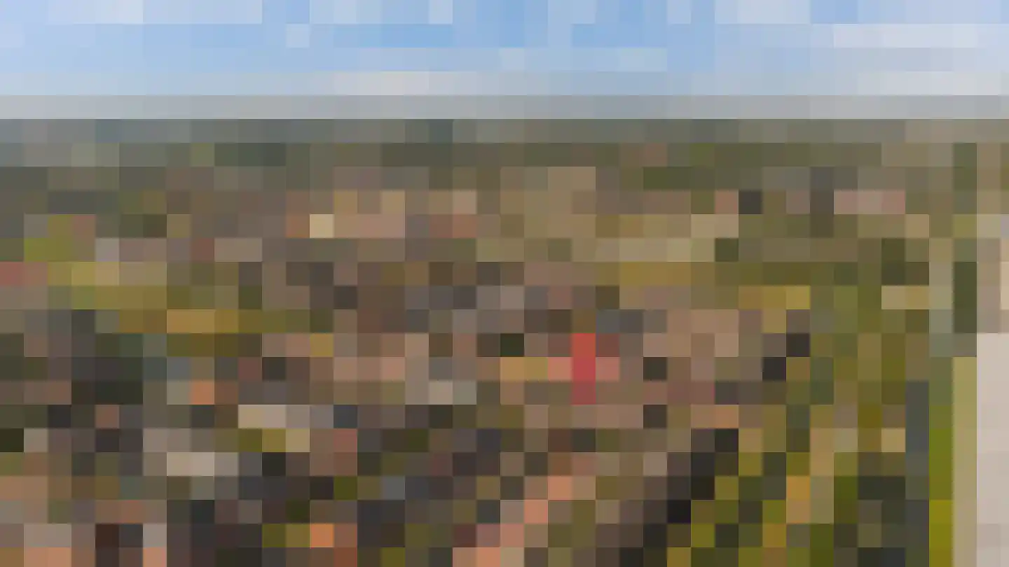 Spion 24 Gorinchem thumbnail 39