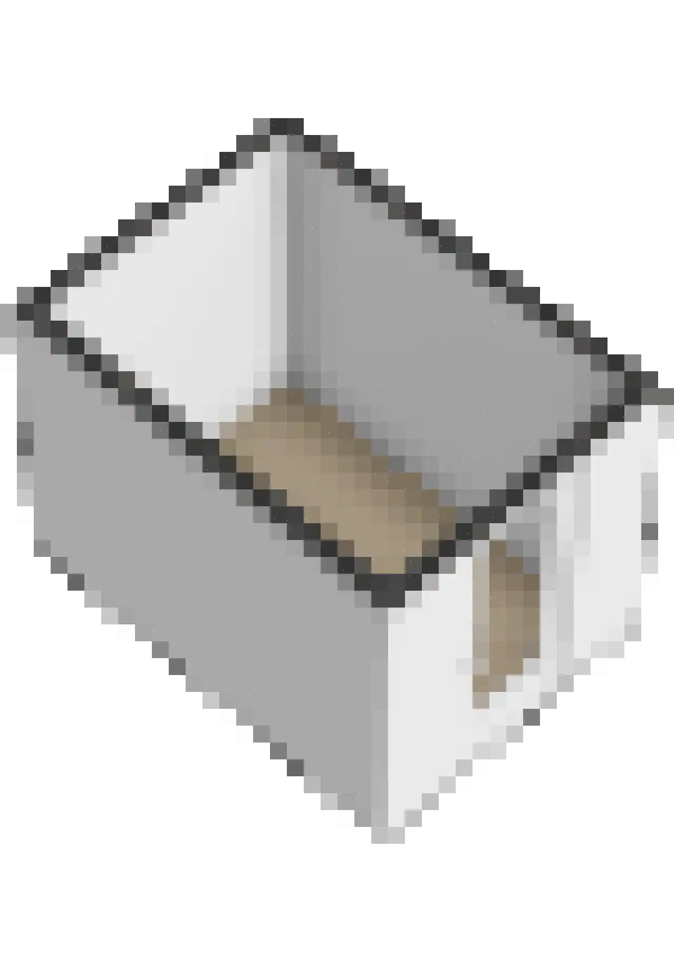 Spion 24 Gorinchem thumbnail 47
