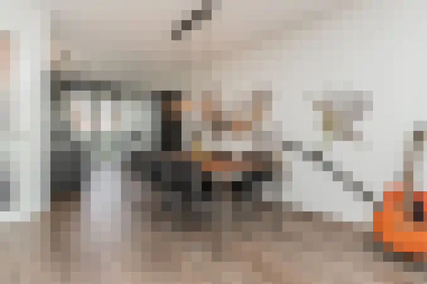 Spion 24 Gorinchem thumbnail 8