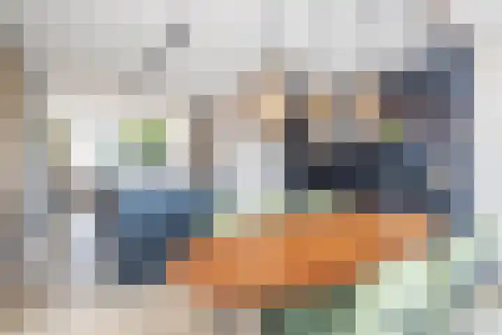 Spion 4 Gorinchem thumbnail 14
