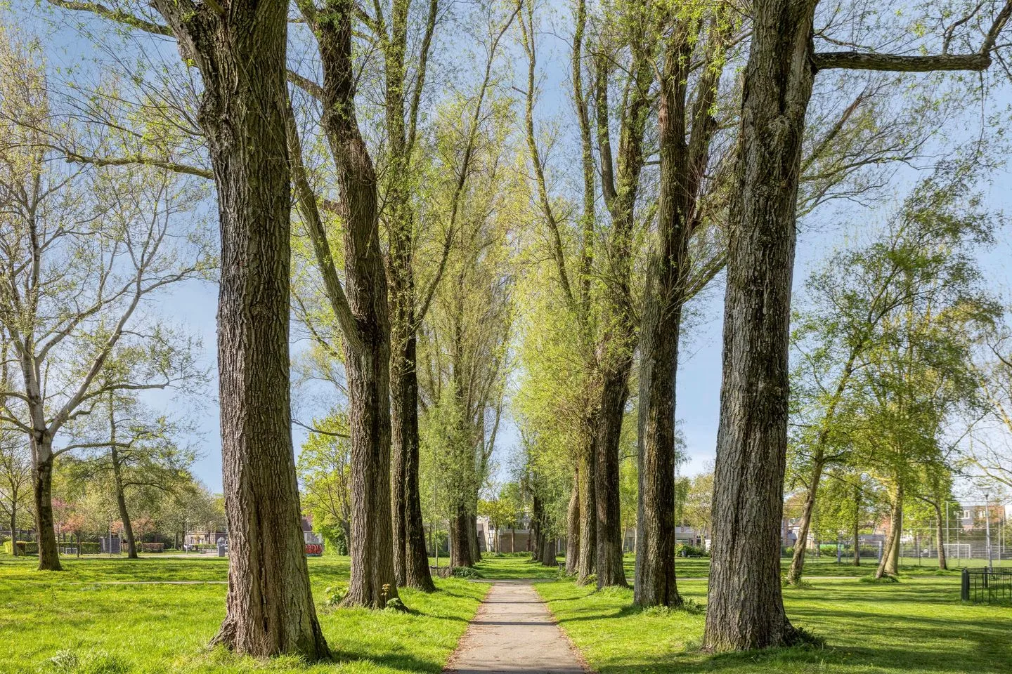 Spionkopstraat 1 ZW Haarlem thumbnail 29