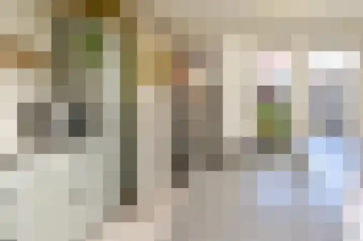 Spionkopstraat 2 Haarlem thumbnail 17