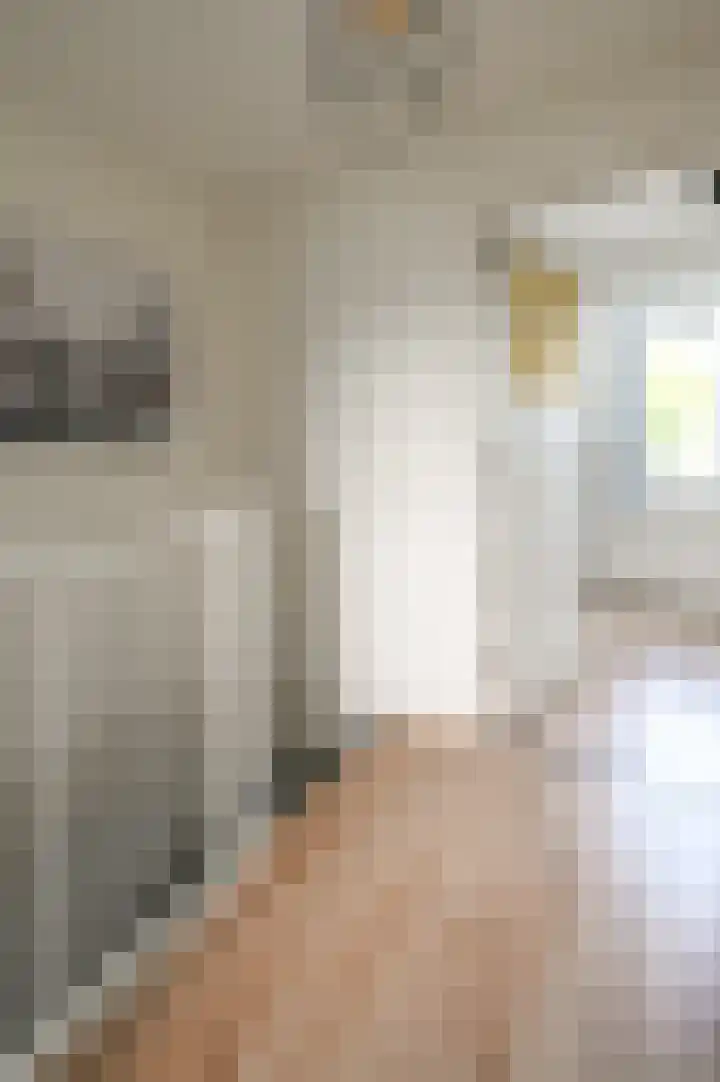 Spionkopstraat 2 Haarlem thumbnail 37