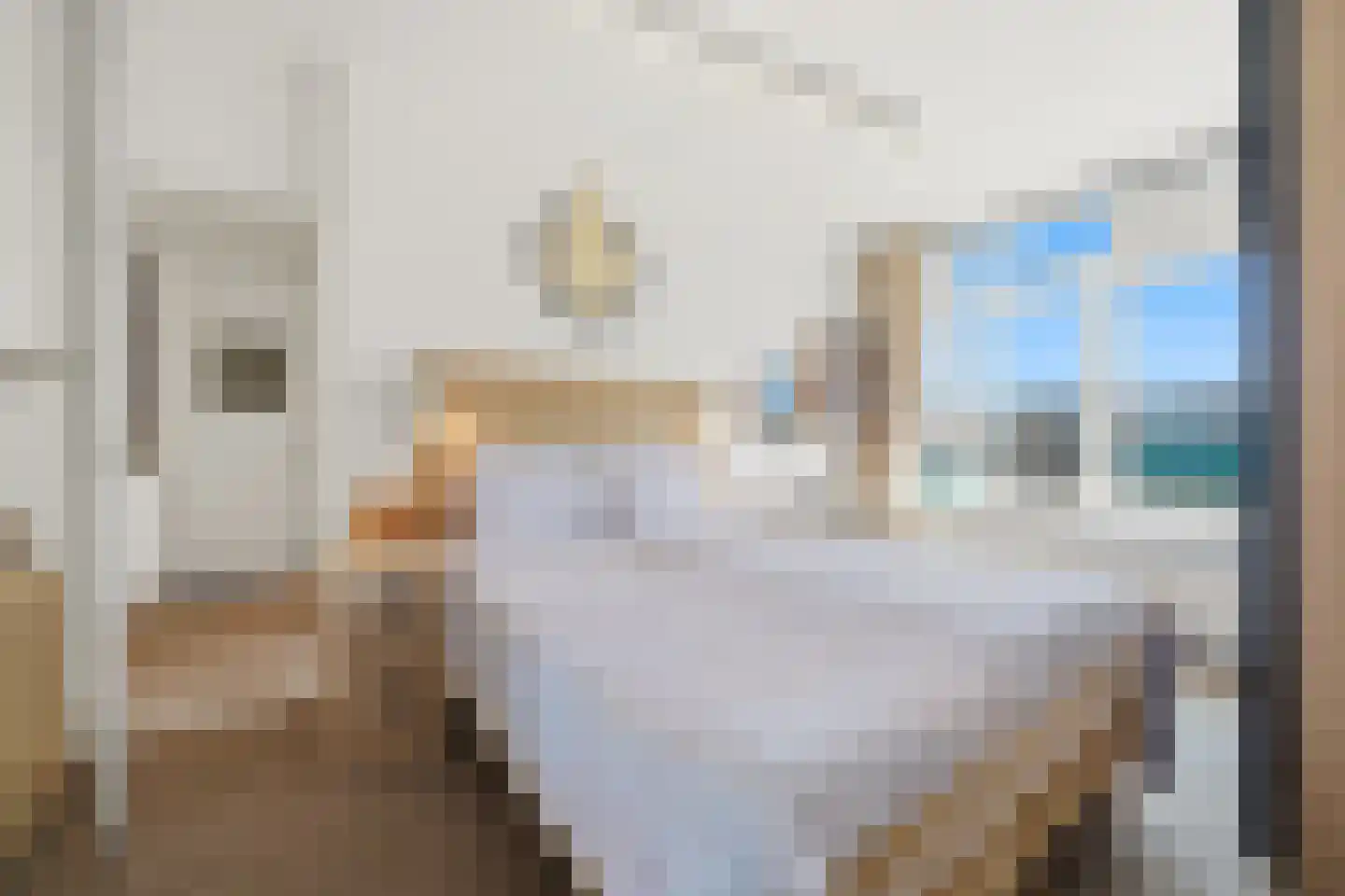 Spionkopstraat 22 Den Haag thumbnail 12