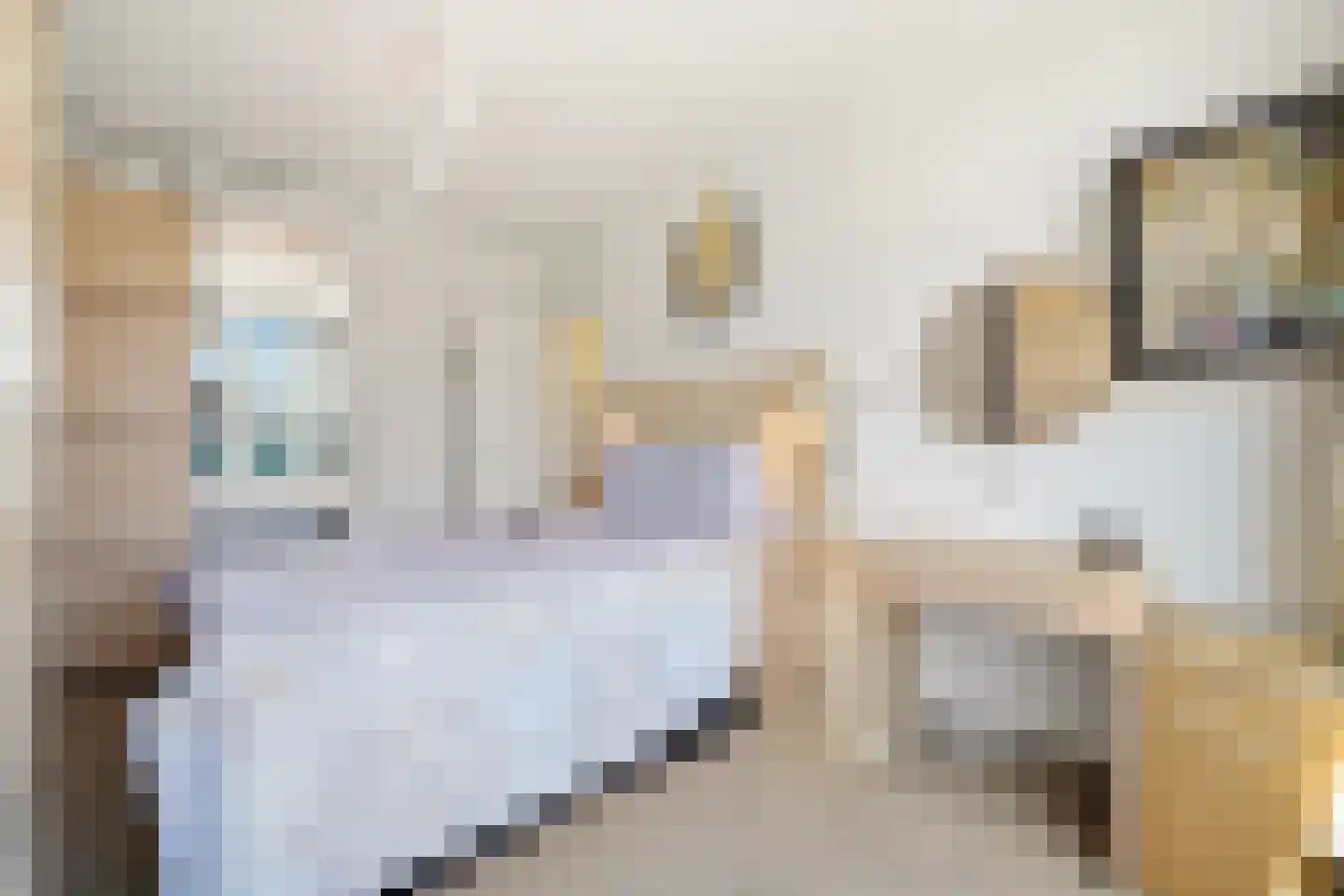 Spionkopstraat 22 Den Haag thumbnail 15