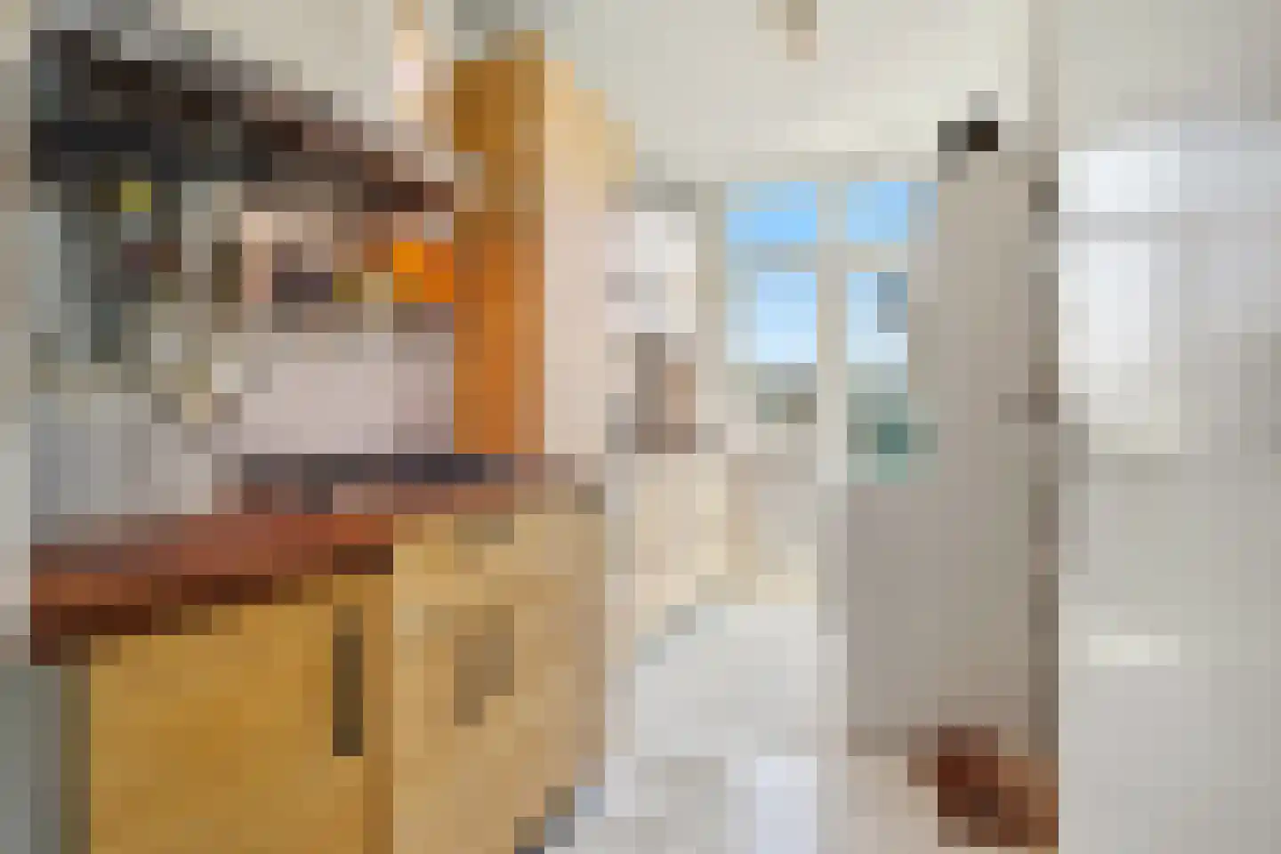 Spionkopstraat 22 Den Haag thumbnail 20
